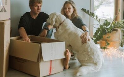 Help Your Pet Cope with a Move